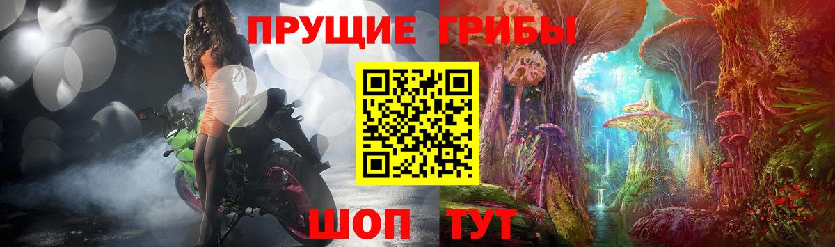 Псилоцибиновые грибы Magic Shrooms  Вход с VPN  Кандалакша 