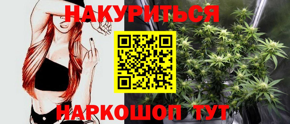 Конопля конопля Кандалакша